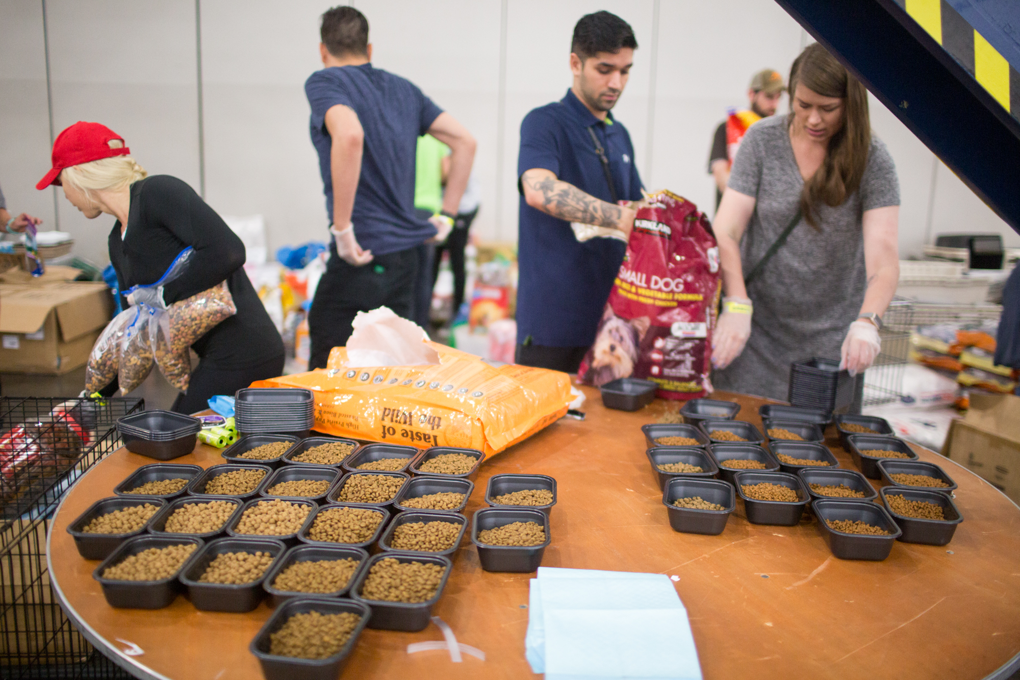 Harvey’s Cohabitated Animal Shelter Houston History Magazine