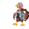 slider thanksgiving promo